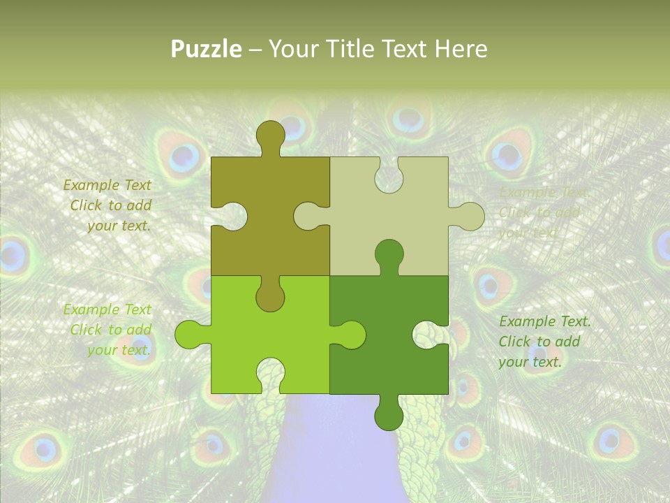 Peacock Peahen Cristatus PowerPoint Template