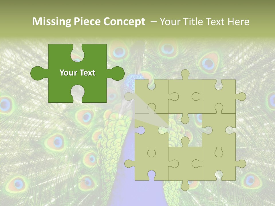 Peacock Peahen Cristatus PowerPoint Template