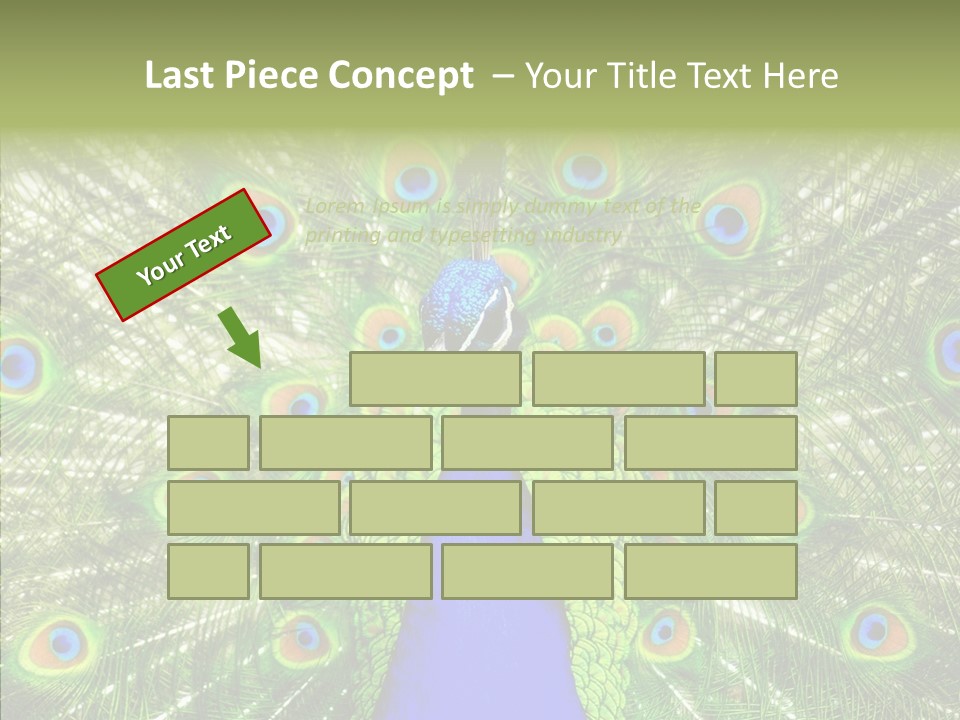 Peacock Peahen Cristatus PowerPoint Template