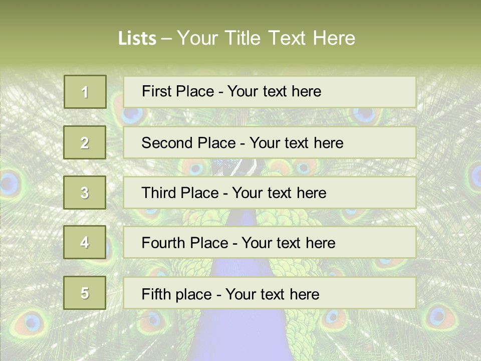 Peacock Peahen Cristatus PowerPoint Template