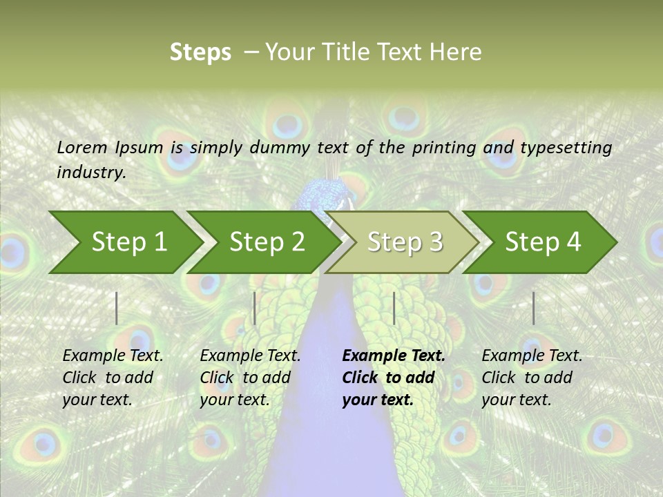 Peacock Peahen Cristatus PowerPoint Template
