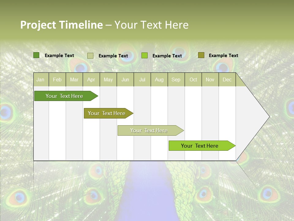 Peacock Peahen Cristatus PowerPoint Template