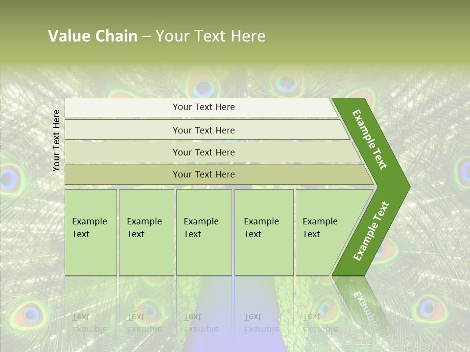 Peacock Peahen Cristatus PowerPoint Template