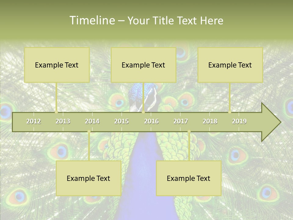 Peacock Peahen Cristatus PowerPoint Template
