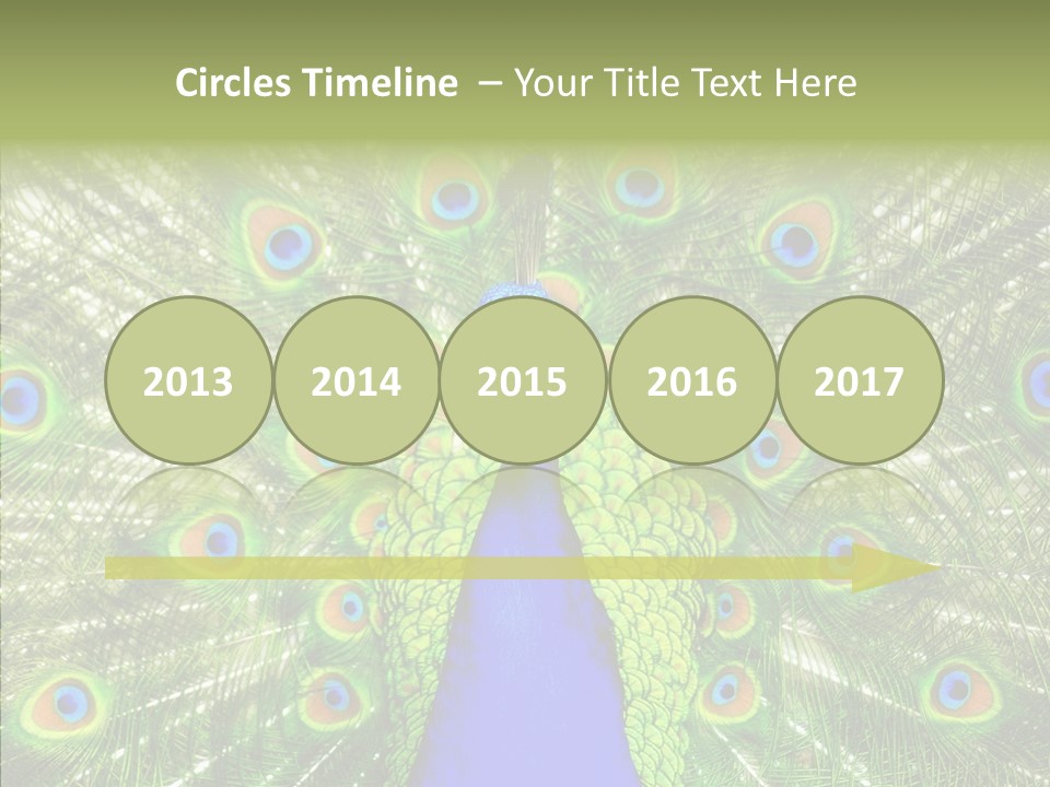 Peacock Peahen Cristatus PowerPoint Template