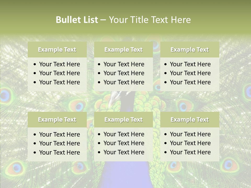 Peacock Peahen Cristatus PowerPoint Template