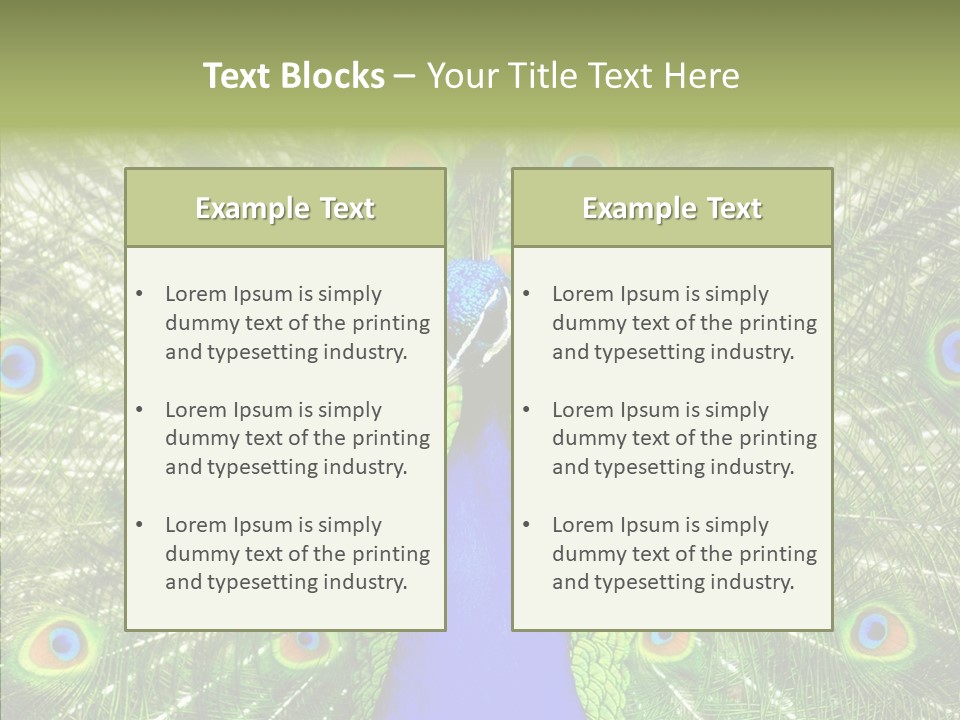 Peacock Peahen Cristatus PowerPoint Template