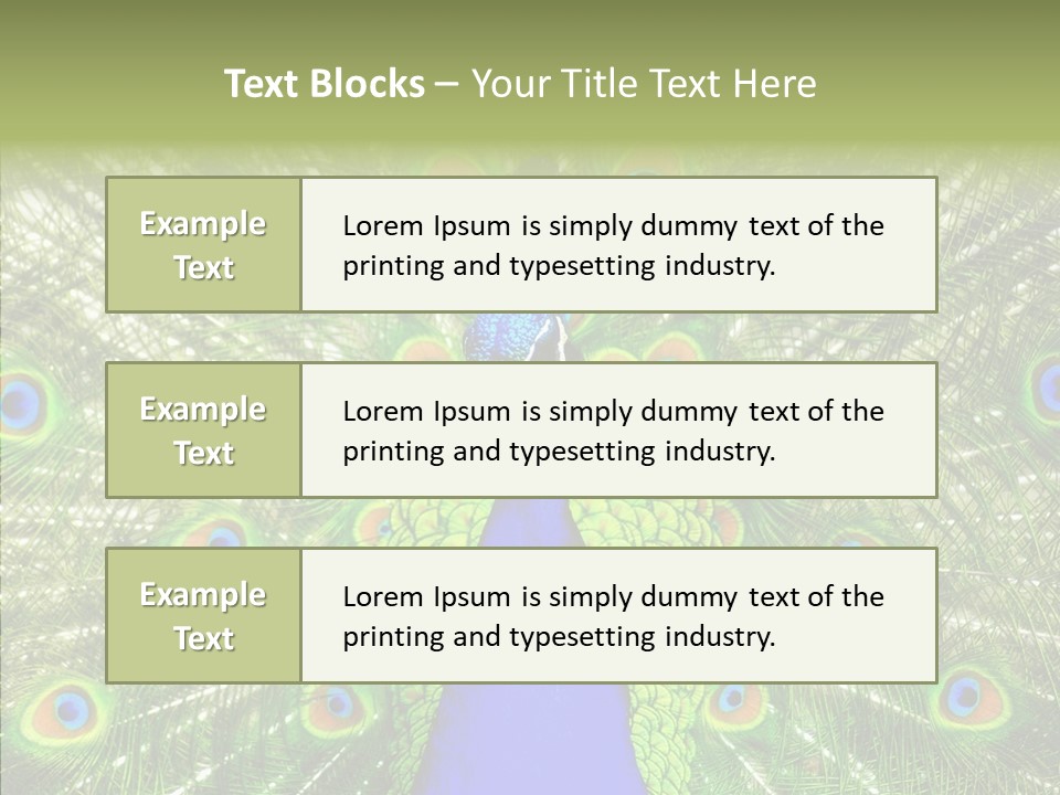 Peacock Peahen Cristatus PowerPoint Template