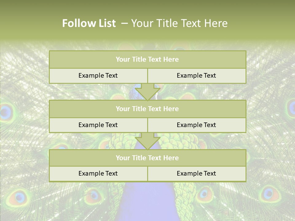 Peacock Peahen Cristatus PowerPoint Template