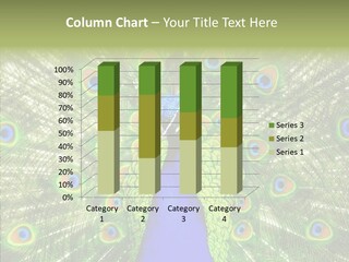 Peacock Peahen Cristatus PowerPoint Template