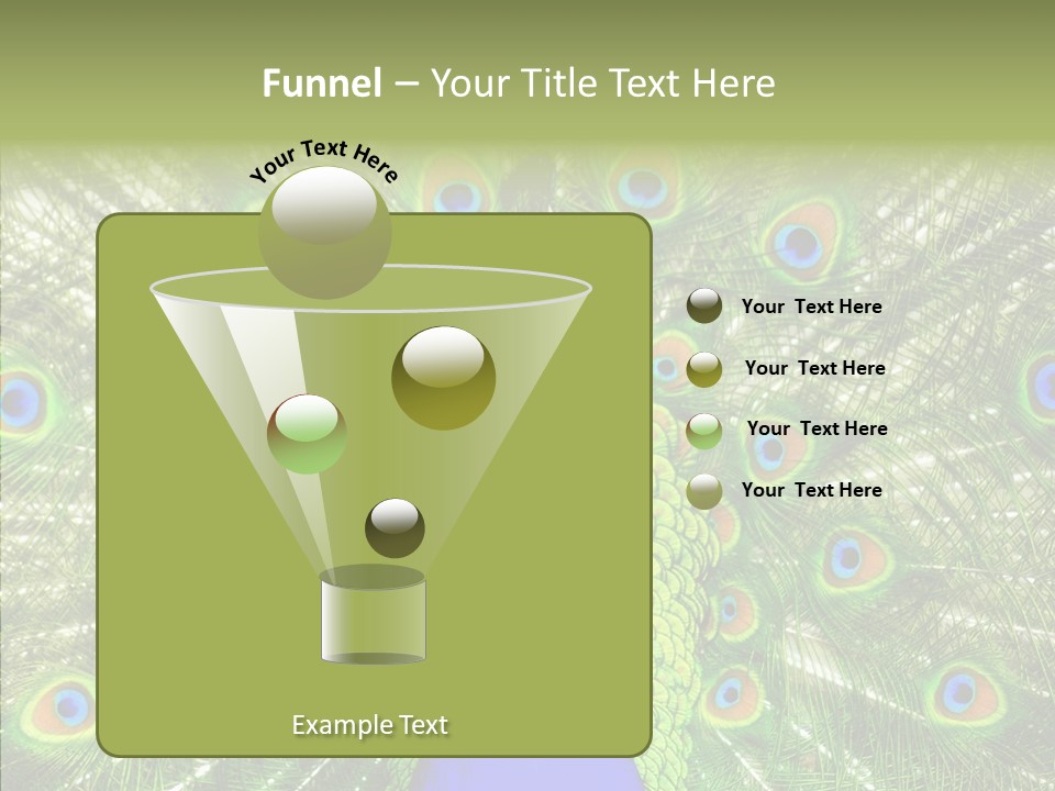 Peacock Peahen Cristatus PowerPoint Template