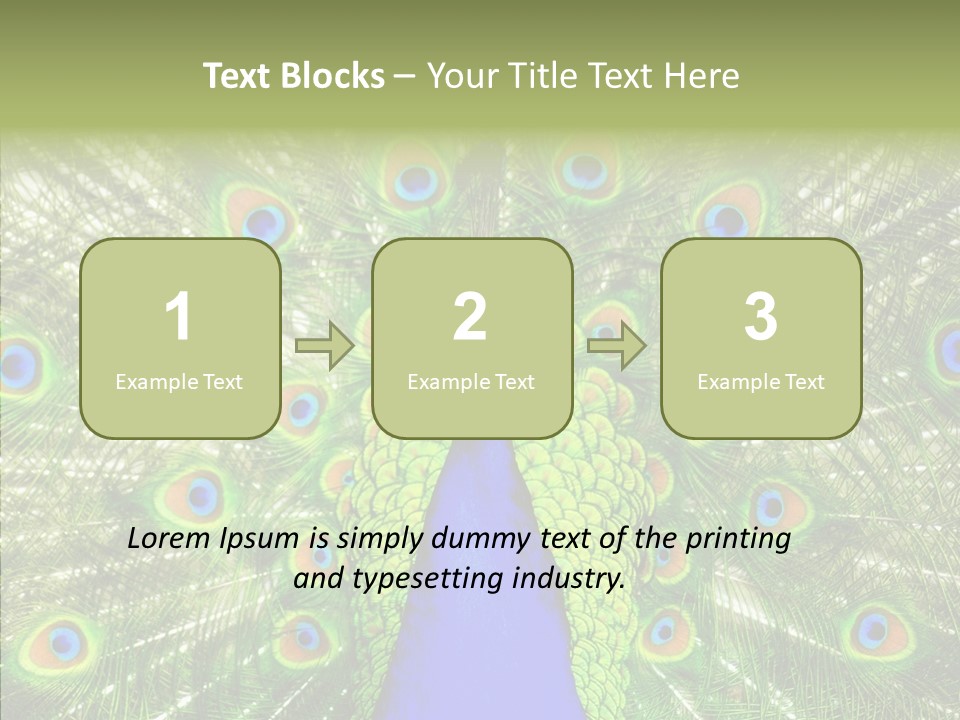 Peacock Peahen Cristatus PowerPoint Template