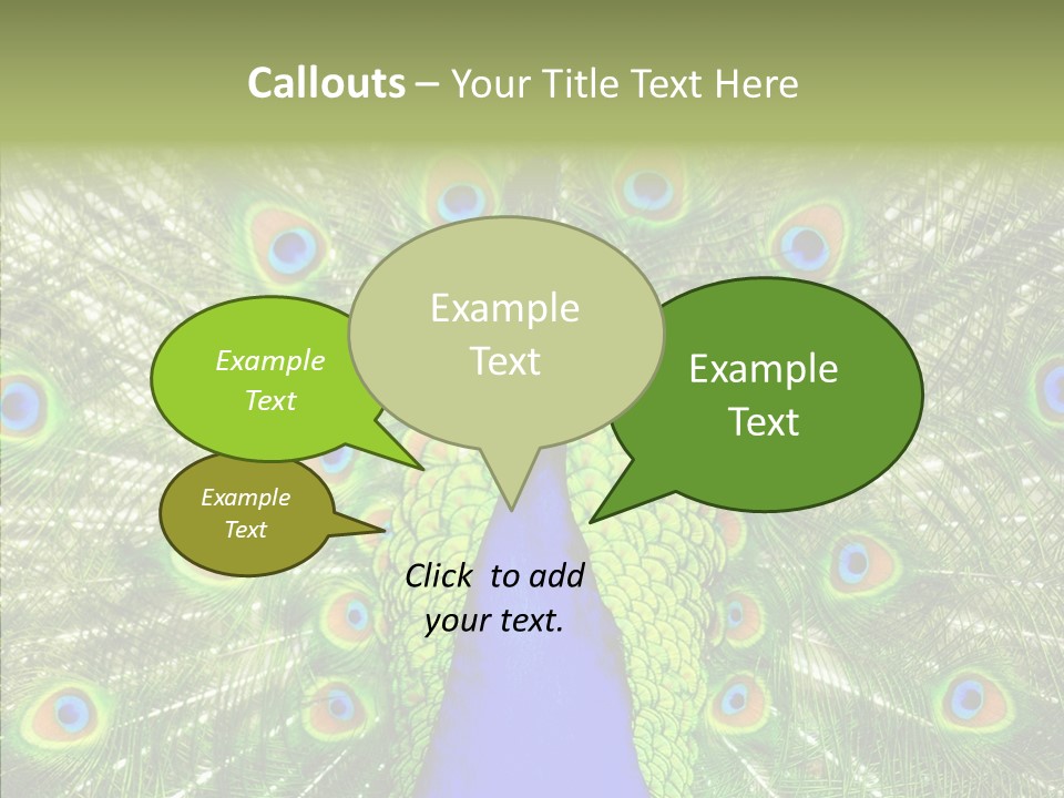 Peacock Peahen Cristatus PowerPoint Template