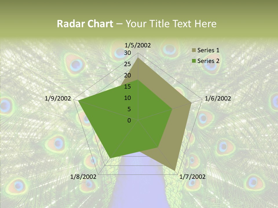 Peacock Peahen Cristatus PowerPoint Template