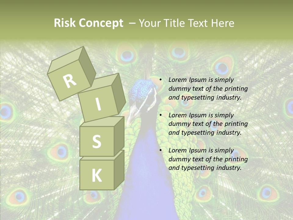 Peacock Peahen Cristatus PowerPoint Template