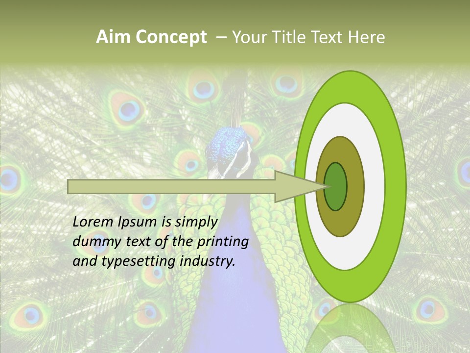 Peacock Peahen Cristatus PowerPoint Template