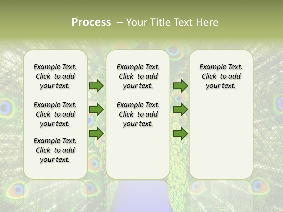 Peacock Peahen Cristatus PowerPoint Template