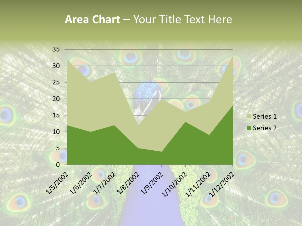 Peacock Peahen Cristatus PowerPoint Template