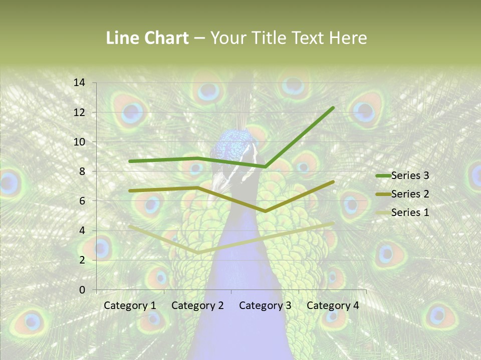 Peacock Peahen Cristatus PowerPoint Template