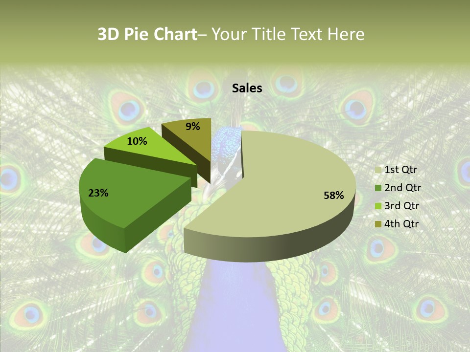 Peacock Peahen Cristatus PowerPoint Template