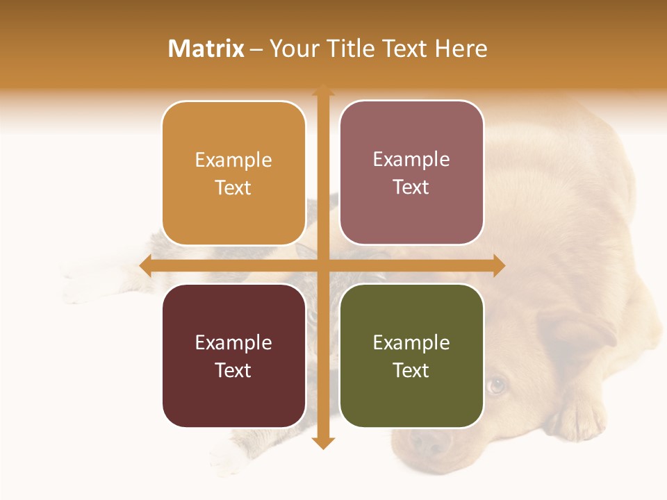 Duet Space Tranquil PowerPoint Template