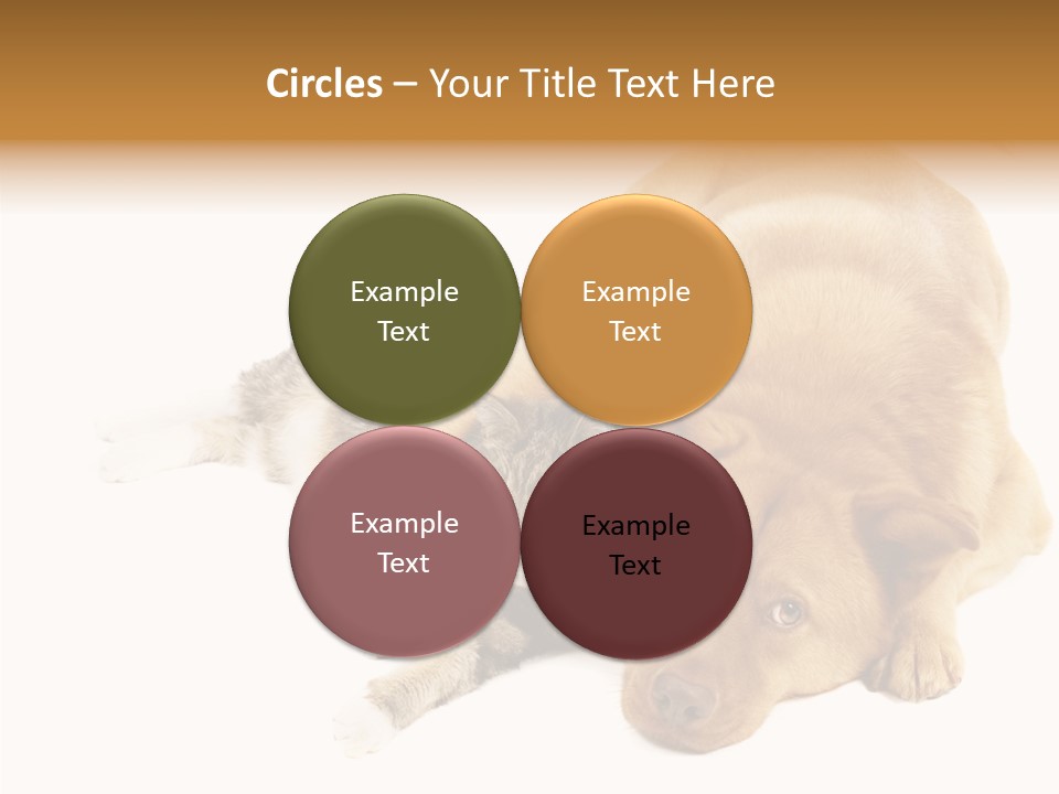 Duet Space Tranquil PowerPoint Template