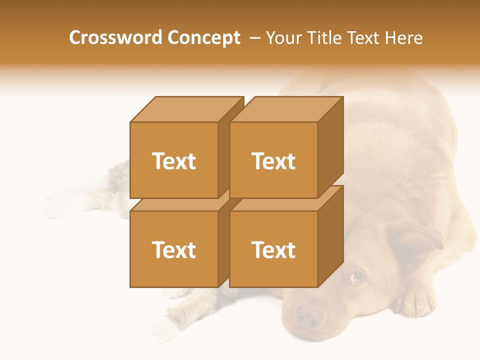 Duet Space Tranquil PowerPoint Template
