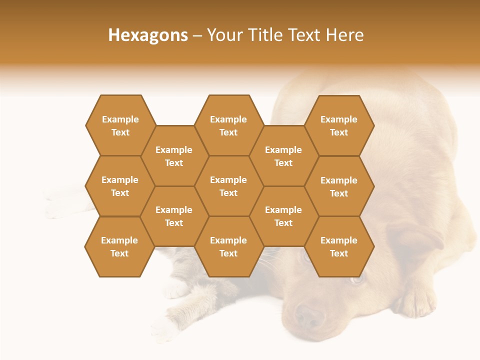 Duet Space Tranquil PowerPoint Template