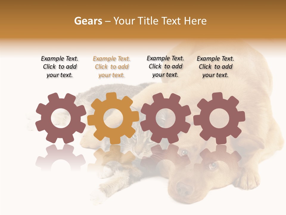 Duet Space Tranquil PowerPoint Template