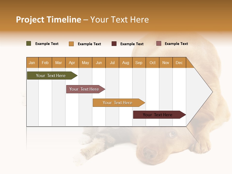 Duet Space Tranquil PowerPoint Template