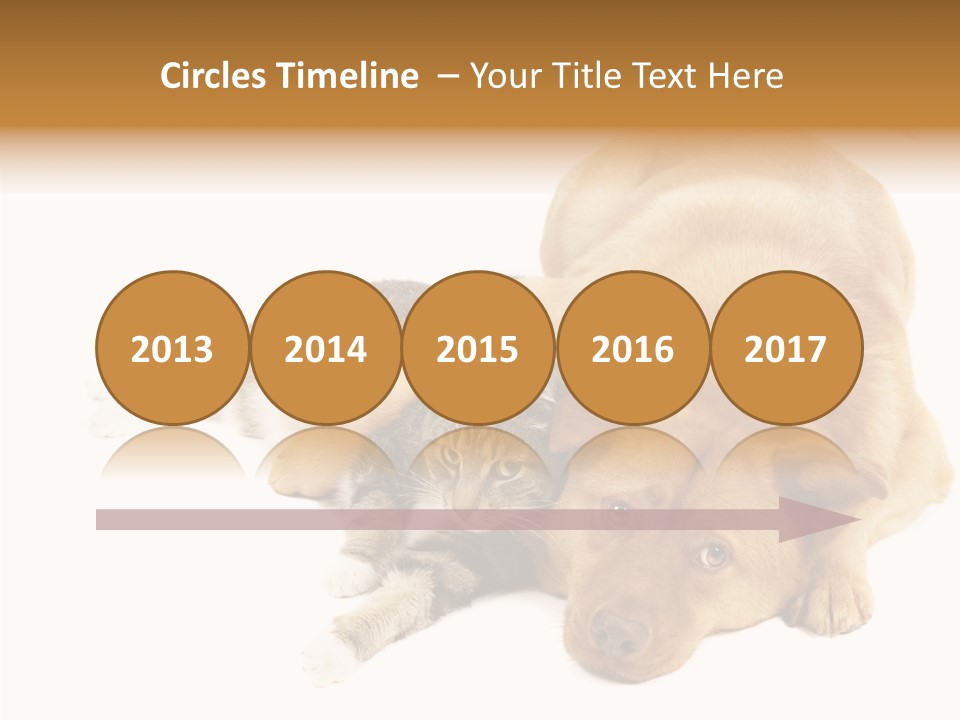 Duet Space Tranquil PowerPoint Template