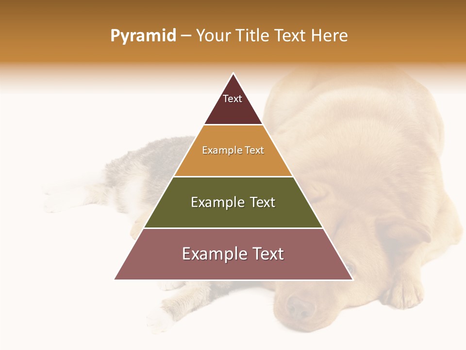 Duet Space Tranquil PowerPoint Template