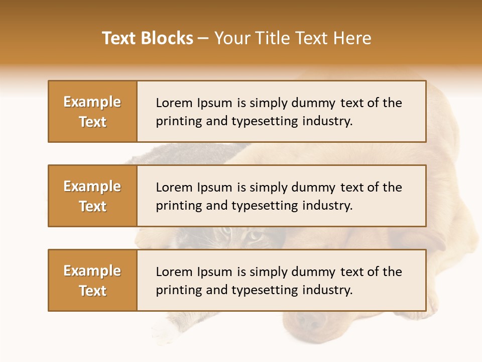 Duet Space Tranquil PowerPoint Template