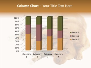 Duet Space Tranquil PowerPoint Template