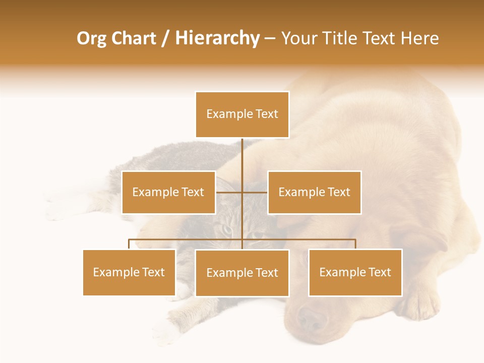 Duet Space Tranquil PowerPoint Template