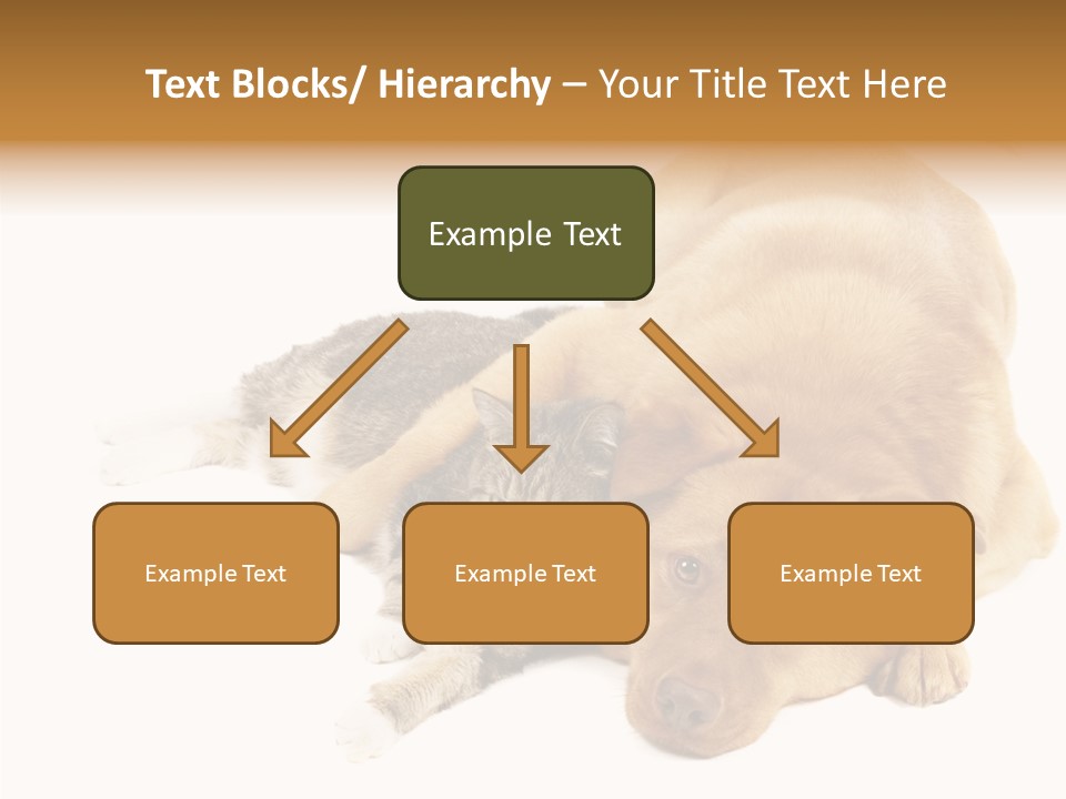 Duet Space Tranquil PowerPoint Template