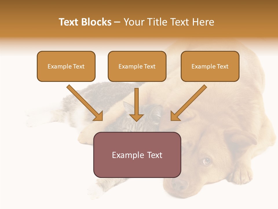 Duet Space Tranquil PowerPoint Template