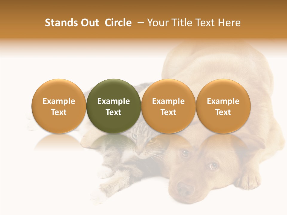 Duet Space Tranquil PowerPoint Template