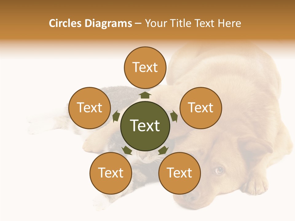 Duet Space Tranquil PowerPoint Template
