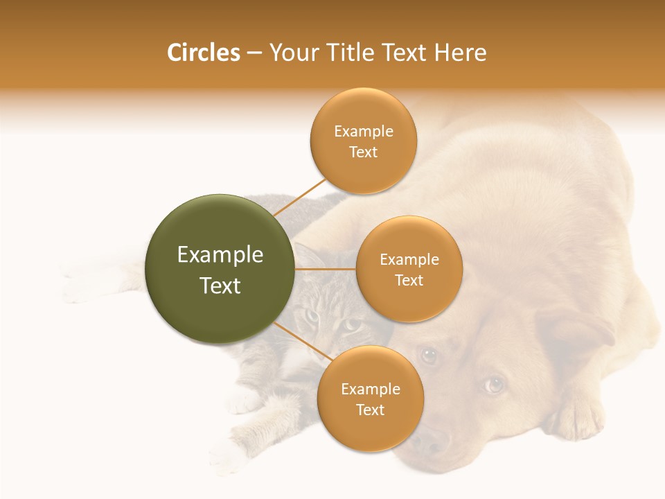 Duet Space Tranquil PowerPoint Template