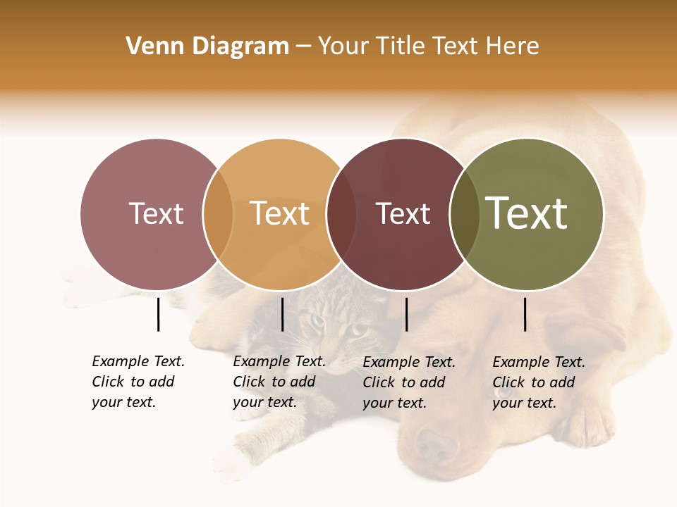 Duet Space Tranquil PowerPoint Template
