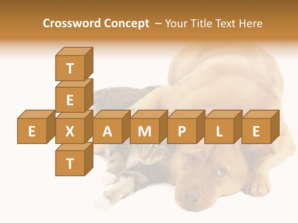 Duet Space Tranquil PowerPoint Template