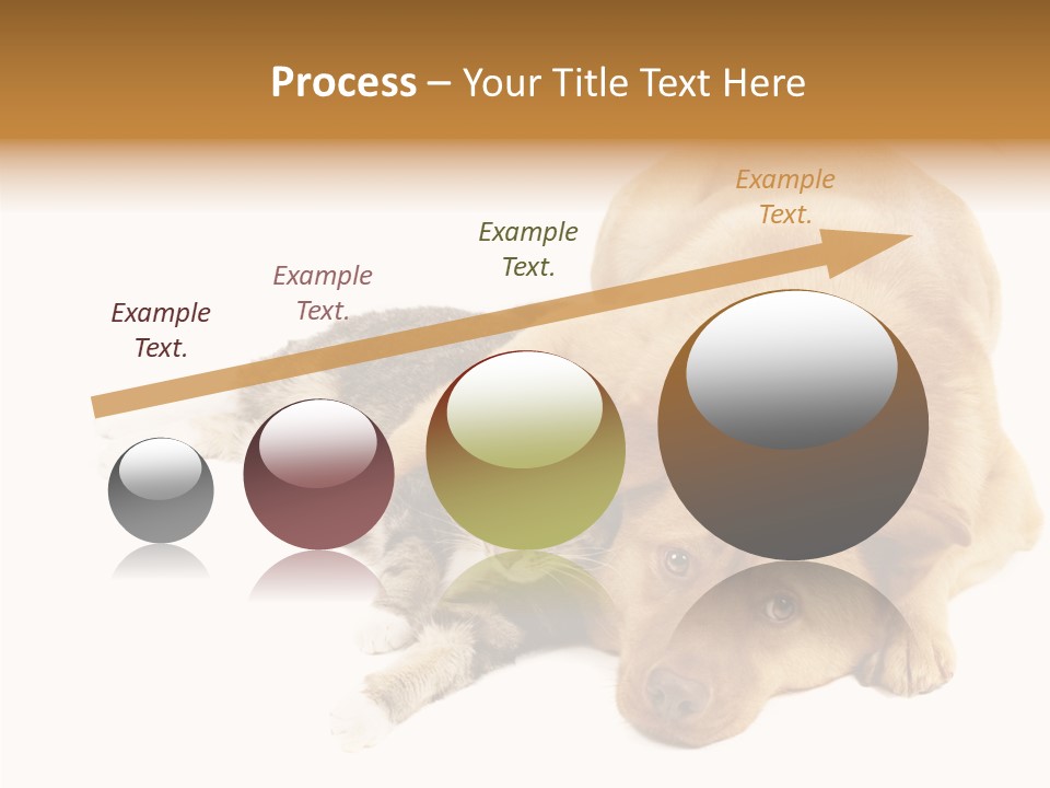 Duet Space Tranquil PowerPoint Template
