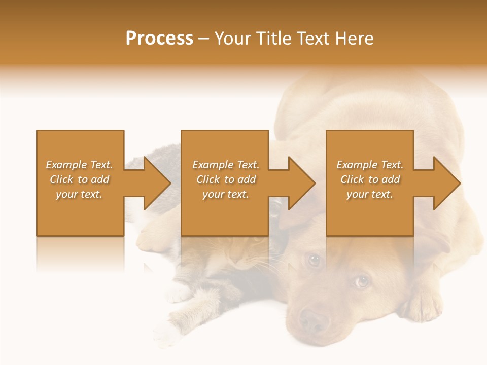 Duet Space Tranquil PowerPoint Template