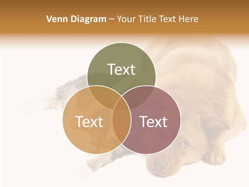 Duet Space Tranquil PowerPoint Template