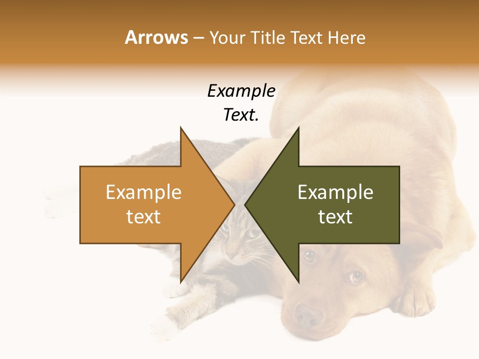 Duet Space Tranquil PowerPoint Template
