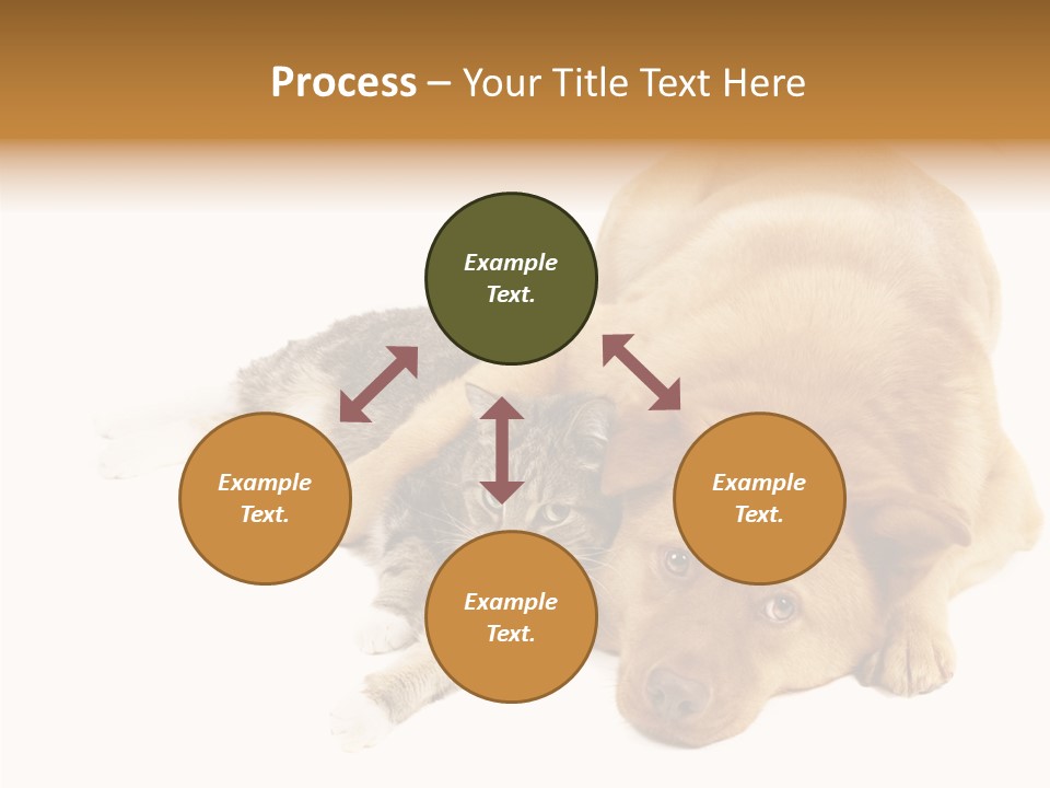 Duet Space Tranquil PowerPoint Template
