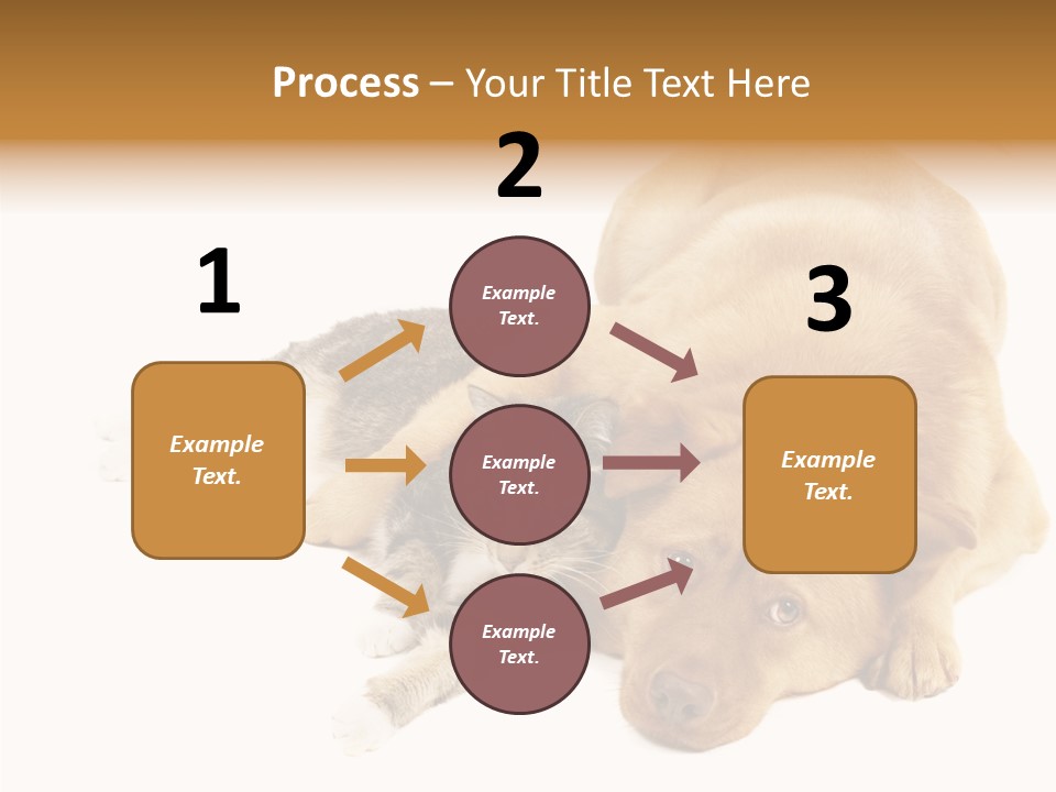 Duet Space Tranquil PowerPoint Template