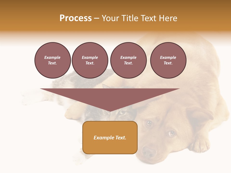 Duet Space Tranquil PowerPoint Template
