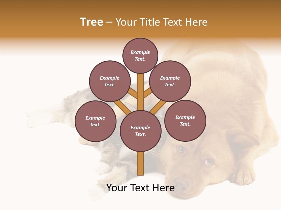 Duet Space Tranquil PowerPoint Template